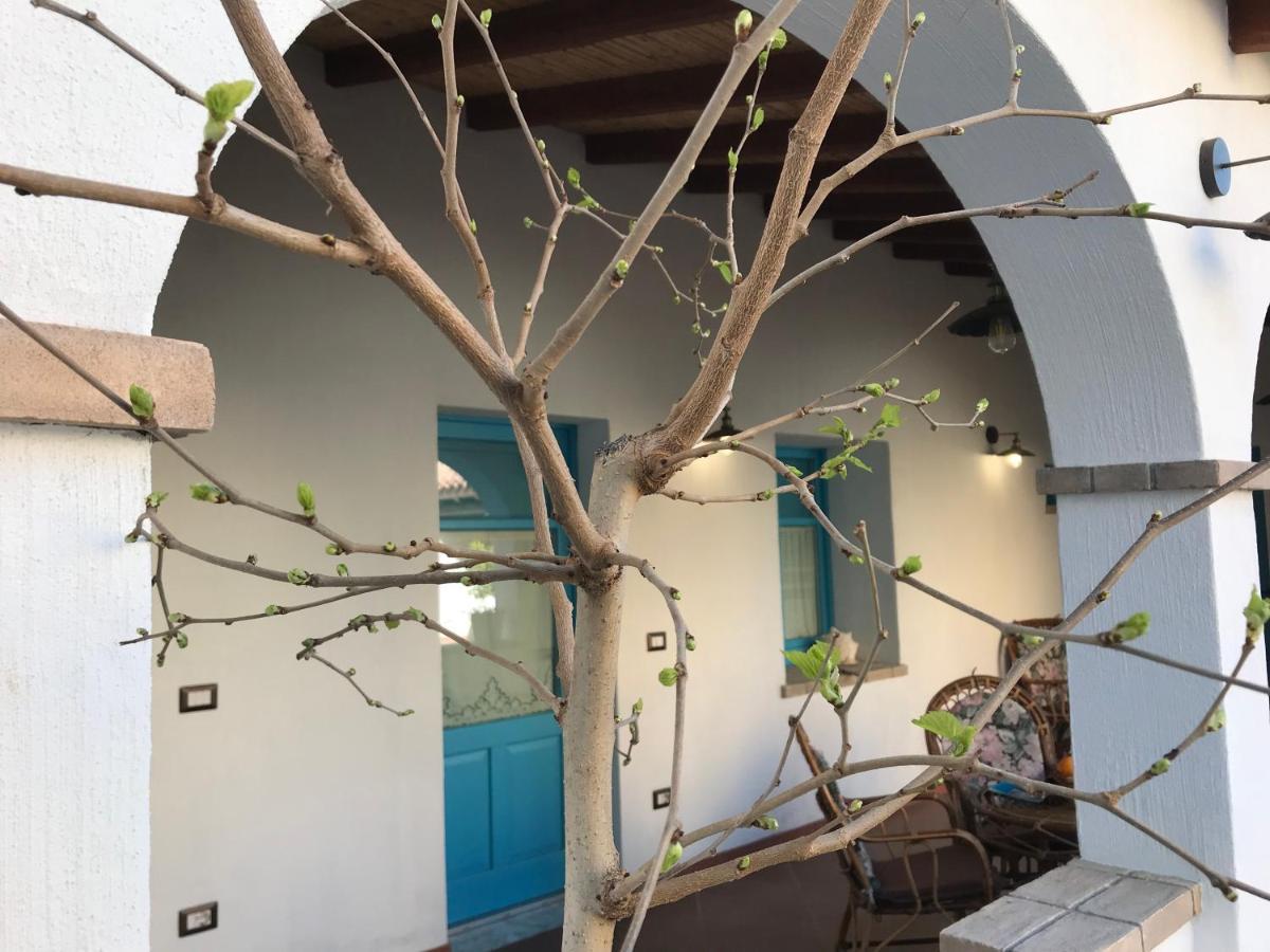 Centu Concas Bed and Breakfast Muravera Buitenkant foto