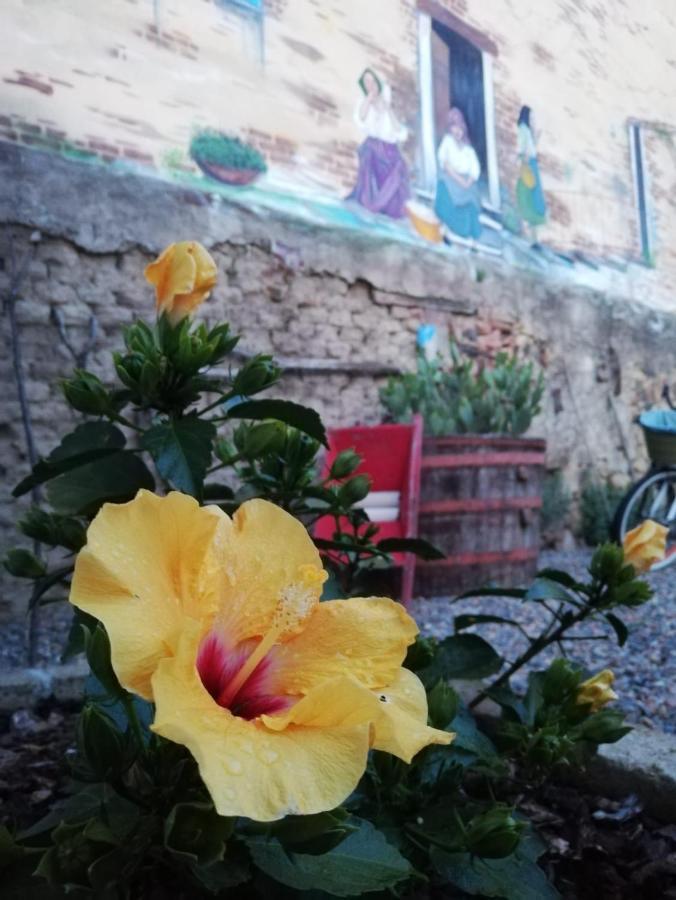 Centu Concas Bed and Breakfast Muravera Buitenkant foto